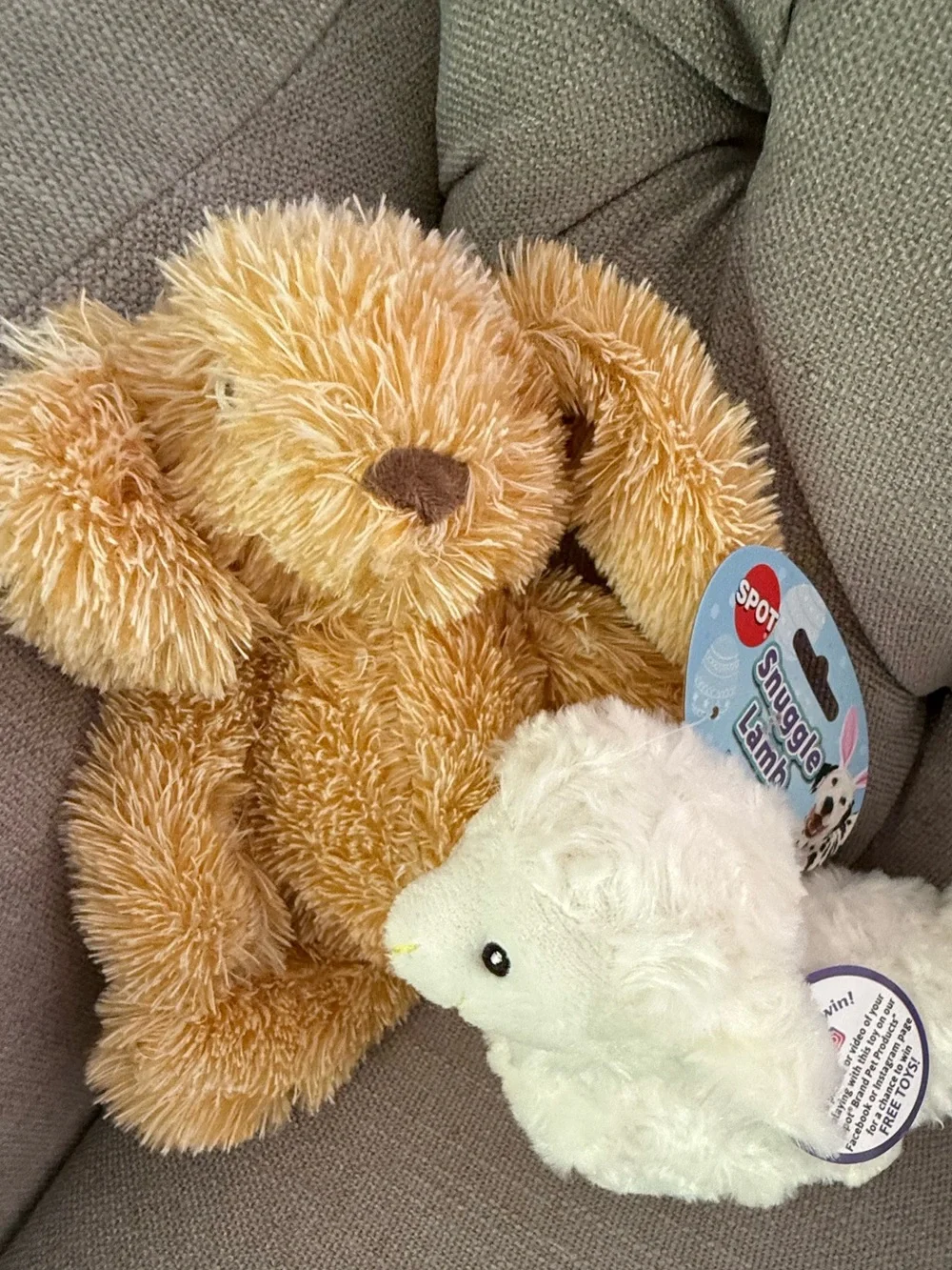 Bunny & Lamb Squeaky Toys